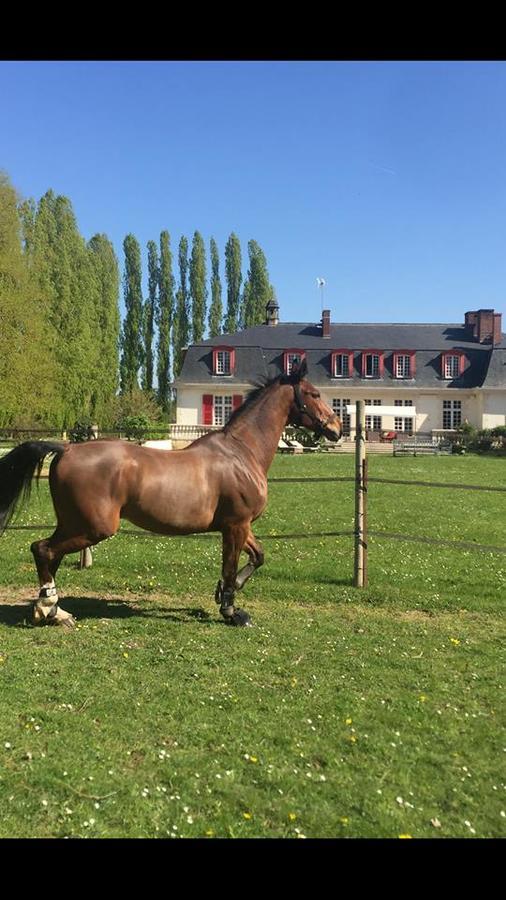 Le Domaine De Barbizon Hotel Saint-Martin-en-Biere ภายนอก รูปภาพ
